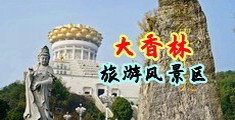 鸡巴操屄游戏中国浙江-绍兴大香林旅游风景区